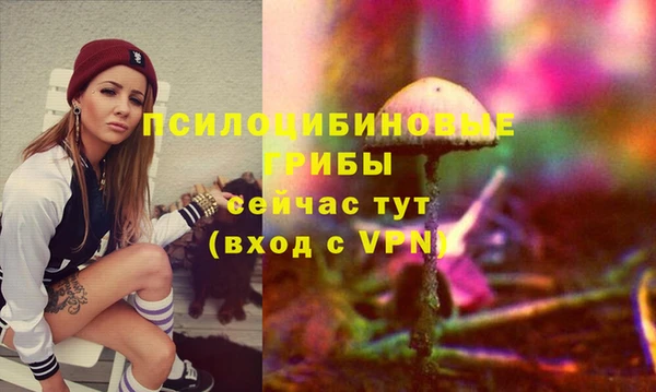 2c-b Баксан