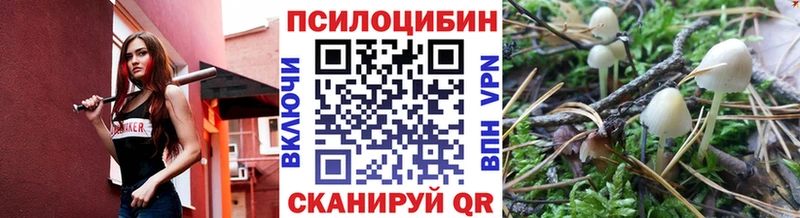Галлюциногенные грибы Magic Shrooms  Калуга 